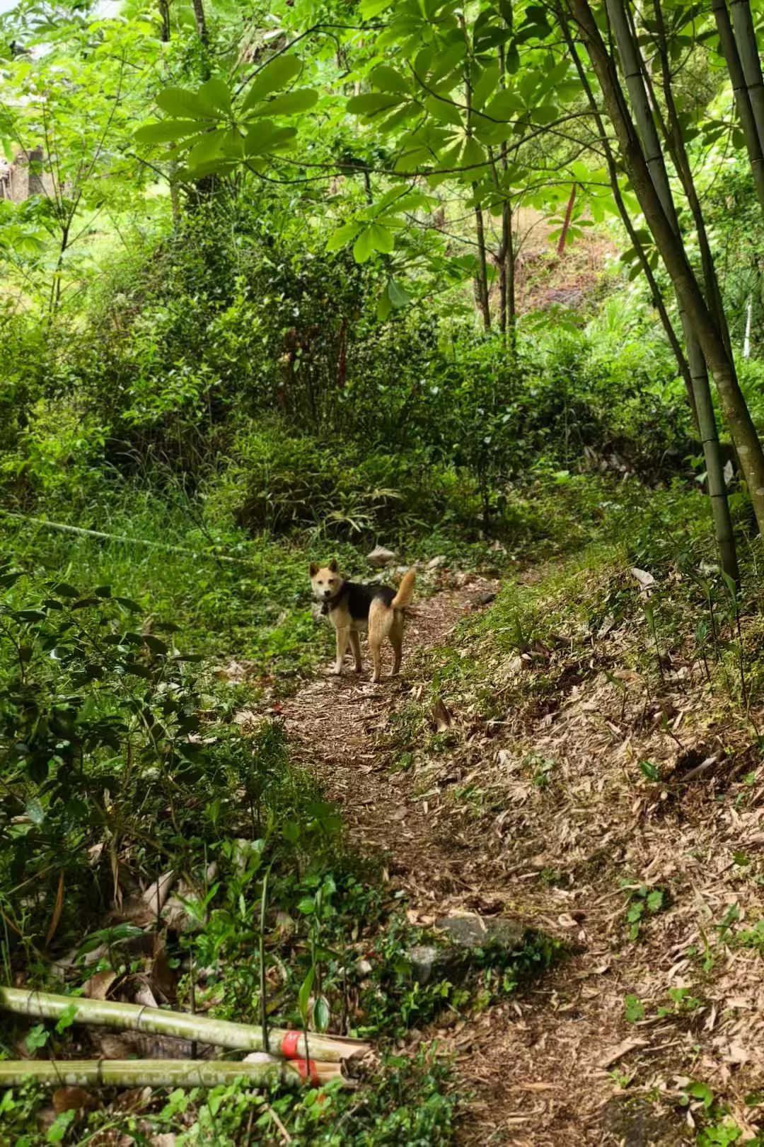 高骊山 2