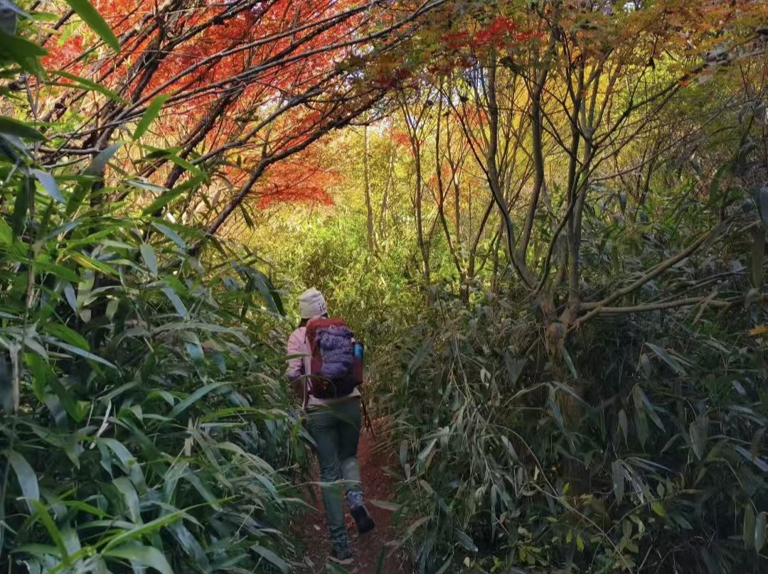 高骊山 1