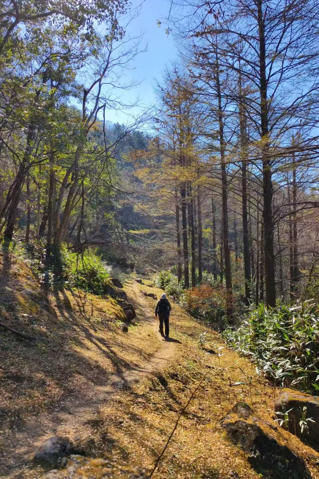 高骊山 2